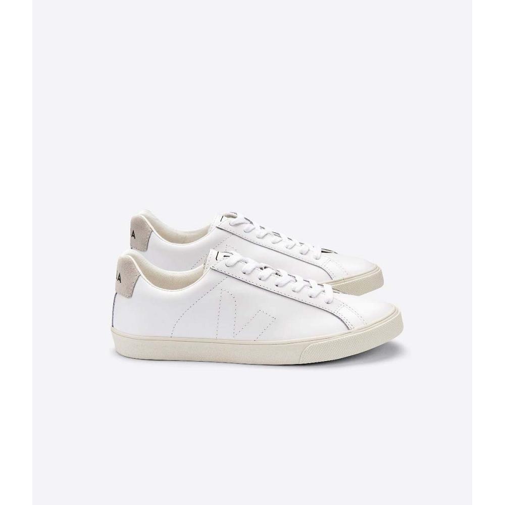 Veja ESPLAR LEATHER Tenisky Panske Biele | SK 308JPQ